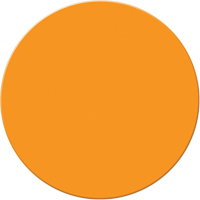 Marqueurs all&eacute;g&eacute;e/5S Armor Stripe, Cercle, 6" lo x 6" la, Orange, Plastique Toolneeds Inc.