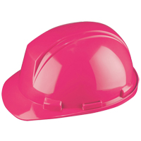 North&reg; Mont-Blanc Hardhat, Meets CSA Type 2, Ratchet Suspension, Non-Vented Toolneeds Inc.