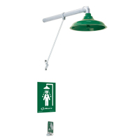Freeze Protected Drench Shower, Wall-Mount Toolneeds Inc.