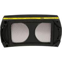 Cartouche Speedglas, Filtre P100, Paquet de 1 Toolneeds Inc.