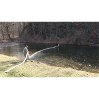 SpillBoa Bale, Oil Only, 25' L x 5" W, 28 gal. Absorbancy, 4 /Pack Toolneeds Inc.