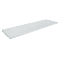 Additional Shelf for Drum Cabinet Toolneeds Inc.