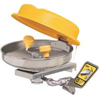 Eyewash Station, Wall-Mount Installation, Stainless Steel Bowl Toolneeds Inc.