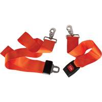 Dynamic Restraining Strap Toolneeds Inc.