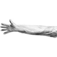 Gants jetables, Grand, Poly&eacute;thyl&egrave;ne, 9 mils, Poudr&eacute;s, Transparent Toolneeds Inc.