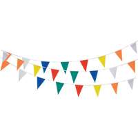 Pennant String, 60' L, Multicolour Toolneeds Inc.