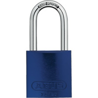 Cadenas, Cl&eacute;s diff&eacute;rentes, Aluminium, Largeur de 1-1/2" Toolneeds Inc.