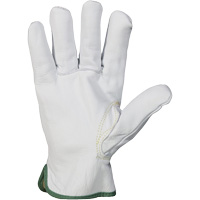 Endura&reg; Cut-Resistant Arc Flash Gloves, X-Small, 10" L, 36 cal/cm², Level 3, NFPA 70E Toolneeds Inc.
