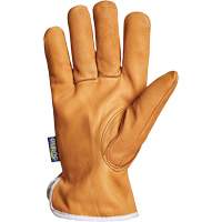 Endura&reg; Driver's Glove, Small, Grain Goatskin Palm, Thinsulate Inner Lining Toolneeds Inc.