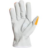 Endura&reg; Driver's Gloves, Small, Grain Goatskin Palm Toolneeds Inc.