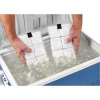 Chill-Its&reg; 6250 Phase Change Cooling Vest Packs Toolneeds Inc.