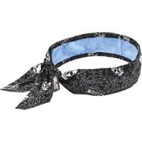 Foulard de refroidissement Chill-Its 6700CT, Multicolore Toolneeds Inc.