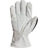 Gants r&eacute;sistant &agrave; la coupe et aux chocs Endura 378GKGVBE, T-Grand, Paume en Ch&egrave;vre, Poignet Conducteur Toolneeds Inc.