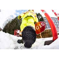 Aide &agrave; la traction robuste, Carbure de tungst&egrave;ne, Traction Crampon, Petit Toolneeds Inc.
