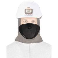 Cache-bouche thermique N-Ferno, Doublure en Molleton, Taille unique, Noir Toolneeds Inc.