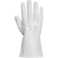 Ground Hog Electro-Static Spray Painting Gloves, Size Large, 11.5" L, Polyurethane Toolneeds Inc.