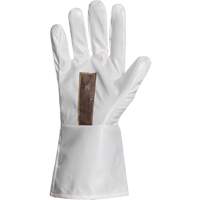 Ground Hog Electro-Static Spray Painting Gloves, Size Large, 11.5" L, Polyurethane Toolneeds Inc.
