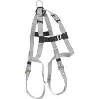 Harnais &eacute;conomique de conformit&eacute; B Dynamic, Certifi&eacute;e CSA, Classe AE, Cap. 310 lb Toolneeds Inc.