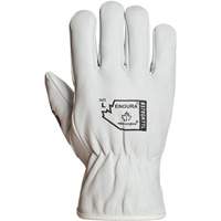 Endura&reg; Winter-Lined Driver Gloves, X-Large, Grain Goatskin Palm, Thinsulate Inner Lining Toolneeds Inc.