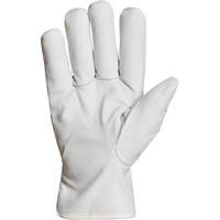 Endura&reg; Winter-Lined Driver Gloves, X-Large, Grain Goatskin Palm, Thinsulate Inner Lining Toolneeds Inc.