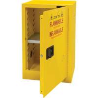 Flammable Storage Cabinet, 12 gal., 1 Door, 23" W x 35" H x 18" D Toolneeds Inc.