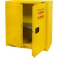 Flammable Storage Cabinet, 30 gal., 2 Door, 43" W x 44" H x 18" D Toolneeds Inc.