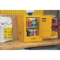Flammable Storage Cabinet, 4 gal., 1 Door, 17" W x 22" H x 18" D Toolneeds Inc.