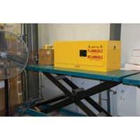 Flammable Storage Cabinet, 12 gal., 2 Door, 43" W x 18" H x 18" D Toolneeds Inc.