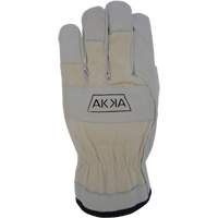 Cotton-Backed Drivers Gloves, Large, Grain Goatskin Palm Toolneeds Inc.