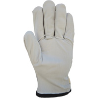 Cotton-Backed Drivers Gloves, Large, Grain Goatskin Palm Toolneeds Inc.