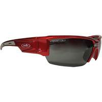 Hartley Safety Glasses, Grey Lens, Polarized, Meets/Exceeds CSA Z94.3 Toolneeds Inc.