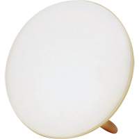 Jumbo Therapy Light for Seasonal Affective Disorder Toolneeds Inc.