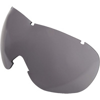 Lentille de rechange pour les lunettes de s&eacute;curit&eacute; &agrave; coques Uvex Sub-Zero, Antibu&eacute;e/anti-&eacute;gratignures, Gris, Uvex Sub-Zero Toolneeds Inc.