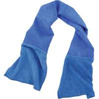 Serviette refroidissante et nettoyante d'usage multiple Chill-Its 6604, Bleu Toolneeds Inc.