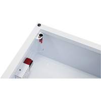 Standard Large AED Cabinet with Alarm, Zoll AED Plus&reg;/Zoll AED 3/Cardio-Science/Physio-Control For, Non-Medical Toolneeds Inc.