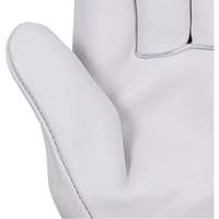 535G Beige Driver's Gloves, Small, Grain Cowhide Palm Toolneeds Inc.