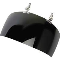 Face Protection