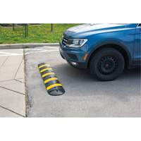 Speed Bump Kit, Rubber, 4' L x 11" W x 2" H Toolneeds Inc.