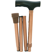 Folding Cane Toolneeds Inc.