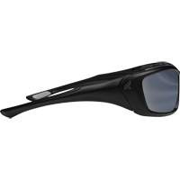 Robson Safety Glasses with Gasket, Silver Mirror Lens, Anti-Scratch/Polarized, ANSI Z87+/MCEPS GL-PD 10-12/Meets/Exceeds CSA Z94.3 Toolneeds Inc.