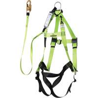 FBH-10000A6440-4 Harnais & longe classe A de 4' avec capacit&eacute; de 350 lb, Combinaison harnais/longe Toolneeds Inc.