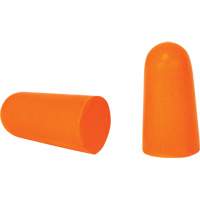 Foam Earplugs, Pair - Polybag Toolneeds Inc.