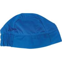 Cooling Skull Cap, Blue Toolneeds Inc.
