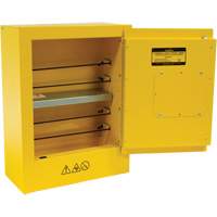 Mini Flammable Safety Cabinet, 2 Gal., 1 Door, 17" W x 22" H x 8" D Toolneeds Inc.