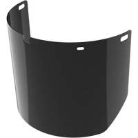 Lentille de rechange pour visi&egrave;re compl&egrave;te sans rev&ecirc;tement, Polycarbonate, Teinte 5,0 Toolneeds Inc.