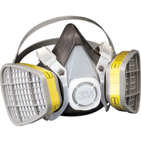 Respirateur pour vapeurs organiques/gaz acide, &eacute;lastom&egrave;re/Thermoplastique, Petit Toolneeds Inc.