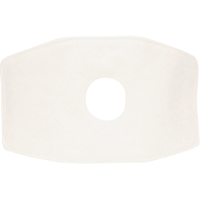 North&reg; Replacement Filter, Particulate Filter, N99 Filter Toolneeds Inc.