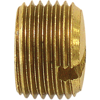 Bouchon de tuyau (avec fentes), 1/8" dia., Laiton Toolneeds Inc.
