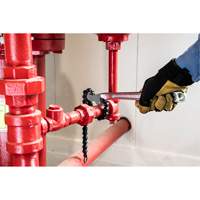 Cl&eacute; &agrave; chaîne Toolneeds Inc.