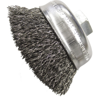 Brosses-boisseau &agrave; fils cr&ecirc;p&eacute;s 2 3/4" Toolneeds Inc.